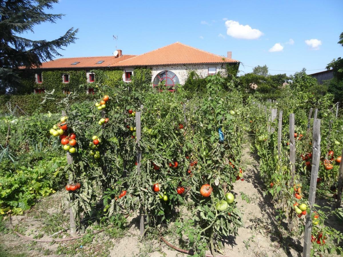 La Ferme De Rouffignac Hotel Blanzac  Kültér fotó